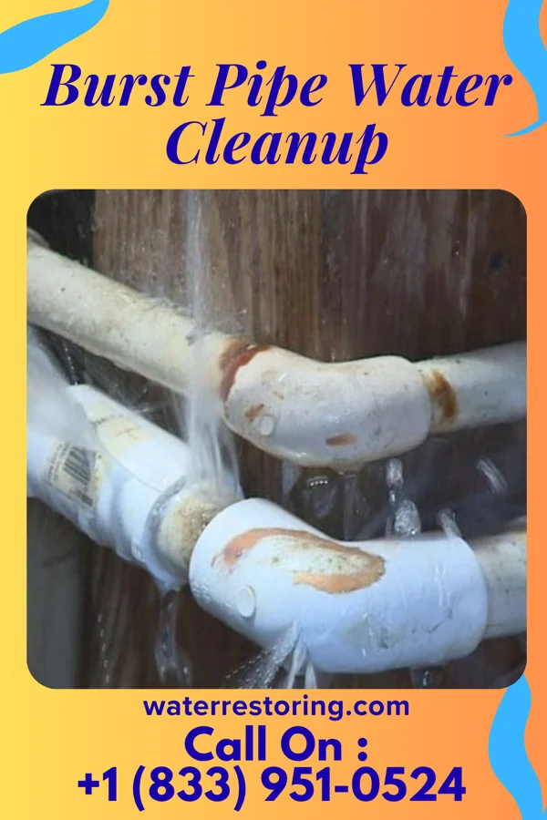 Burst Pipe Water Cleanup in Progress, PA