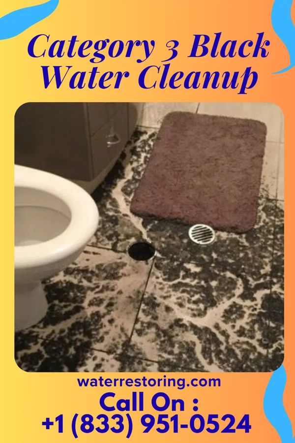 Category 3 Black Water Cleanup in Progress, PA