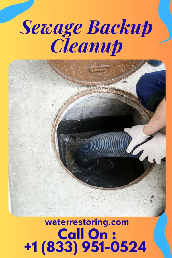 Sewage Backup Cleanup in Progress, PA