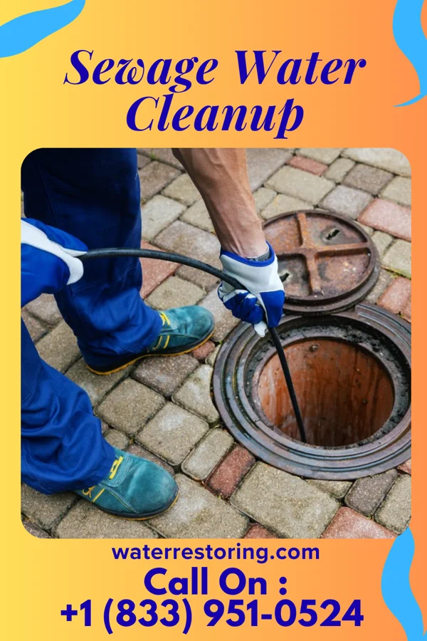 Sewage Water Cleanup in Progress, PA